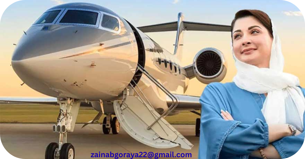 ''Air Punjab will take to the skies in April' 'ایئر پنجاب اپریل میں اڑان بھرے گی'