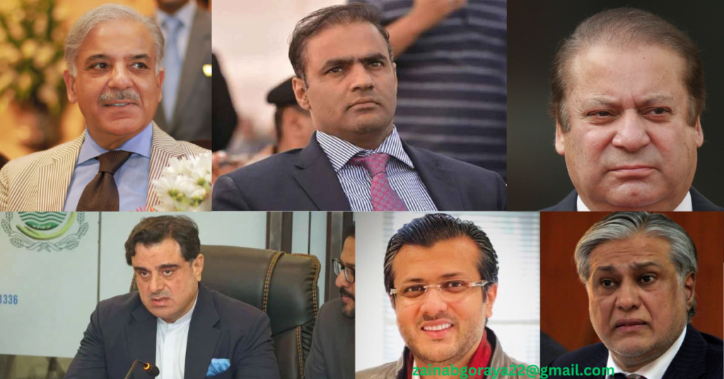 Ali Dar appointed CM Maryam's aide on Punjab AI and special initiatives                سیاسی اقربا پروری کی تازہ مثال